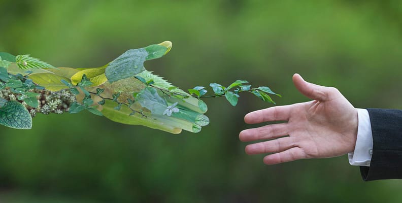 ambiental